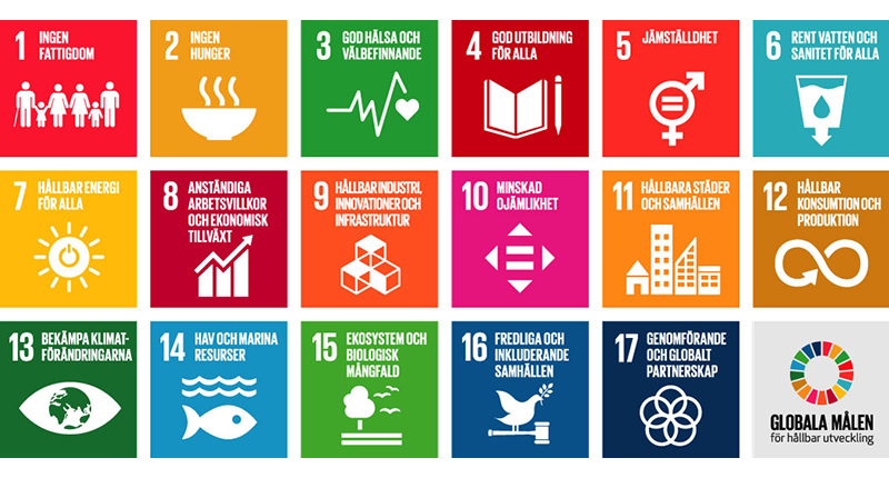 The Agenda 2030 goals are described in 17 boxes